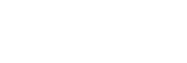 Spartan Invest logo
